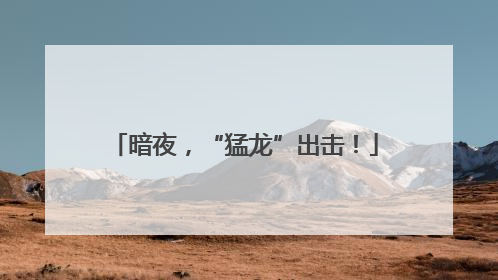 暗夜，“猛龙”出击！